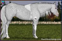 Horse Color:Silver Classic Champagne Chinchilla Dun Tobiano 