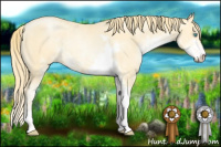 Horse Color:Buckskin Pearl Sabino 
