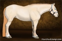 Horse Color:Buckskin Pearl Sabino