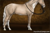 Horse Color:Chocolate Palomino Pearl Sabino Rabicano