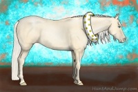 Horse Color:Palomino Pearl Sabino 
