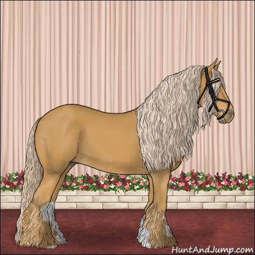 Horse Color:Palomino 