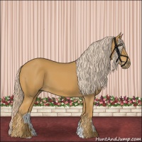 Horse Color:Palomino 