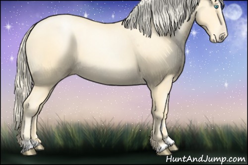Horse Color:Palomino Pearl Sabino