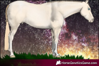 Horse Color:Buckskin Pearl Sabino 