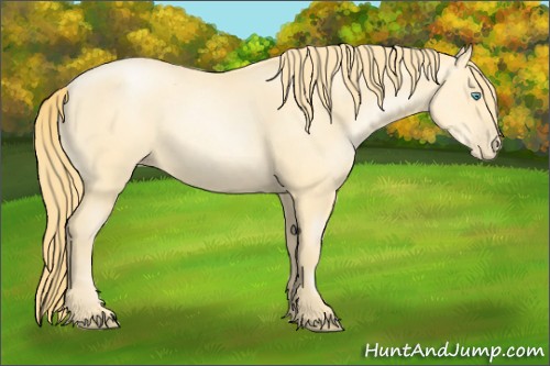 Horse Color:Buckskin Pearl Sabino 