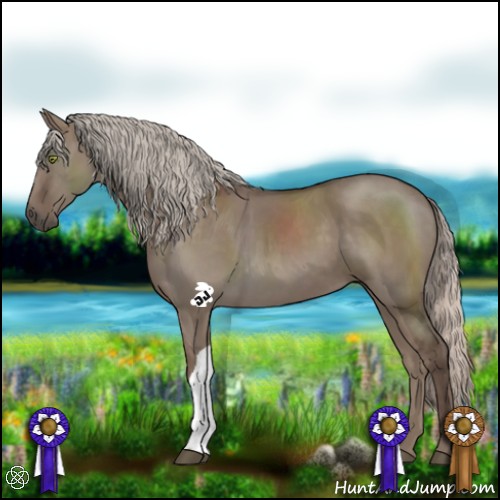 Horse Color:Silver Grullo 