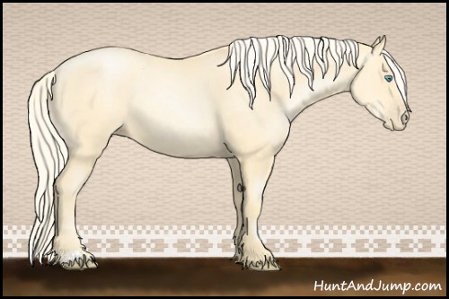 Horse Color:Palomino Pearl Sabino 