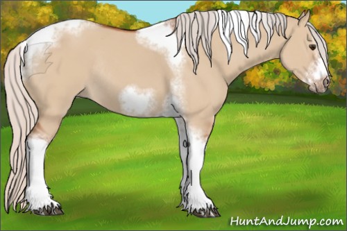 Horse Color:Silver Bay Dun Sabino Tobiano Frame Rabicano