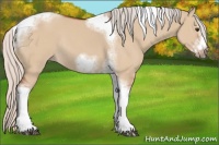Horse Color:Silver Bay Dun Sabino Tobiano Frame Rabicano 
