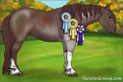 Horse Color:Chocolate Black Tobiano