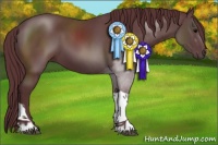 Horse Color:Chocolate Black Tobiano 