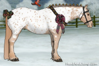Horse Color:Chestnut Appaloosa