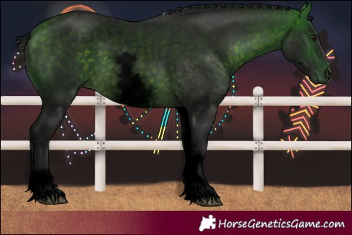 Horse Color:Void White Spotted Buckskin Sabino 