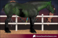 Horse Color:Void White Spotted Buckskin Sabino 