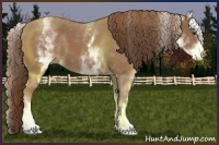 Horse Color:White Spotted Chestnut Sabino