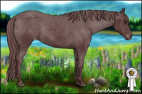 Horse Color:Chocolate Black Varnish Rabicano 