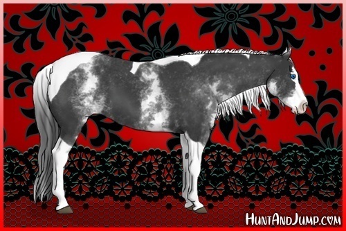 Horse Color:White Spotted Black Splash Tobiano Varnish 