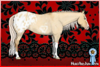 Horse Color:Gray Silver Amber Cream Champagne Roan Dun Splash Tobiano Appaloosa Rabicano 