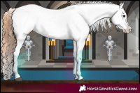 Horse Color:Black Appaloosa Rabicano