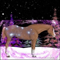 Horse Color:White Spotted Chestnut Splash