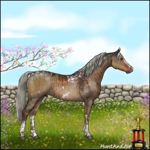 Horse Color:Gray White Spotted Liver Red Dun Mushroom Tobiano Brindle 
