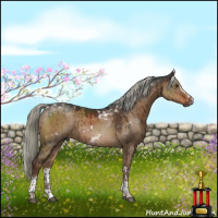 Horse Color:Gray White Spotted Liver Red Dun Mushroom Tobiano Brindle 