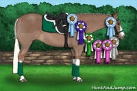 Horse Color:Red Roan Mushroom 