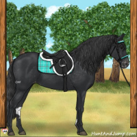 Horse Color:Black Varnish Rabicano 