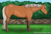 Horse Color:Silver Bay
