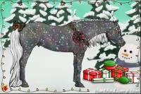 Horse Color:Midnight Liver Red Dun Chinchilla Pearl Appaloosa