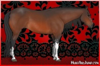 Horse Color:Bay Rabicano  and Bay 