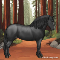 Horse Color:Black Varnish Rabicano 
