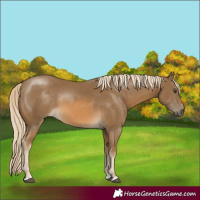Horse Color:Chocolate Palomino Mushroom 