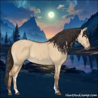 Horse Color:Bay Dun