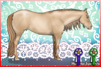 Horse Color:Gray Gold Champagne Pearl Dun 