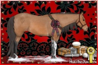 Horse Color:Bay Tobiano Snowcap 
