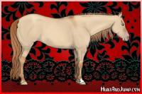 Horse Color:Gray Gold Champagne Dun 