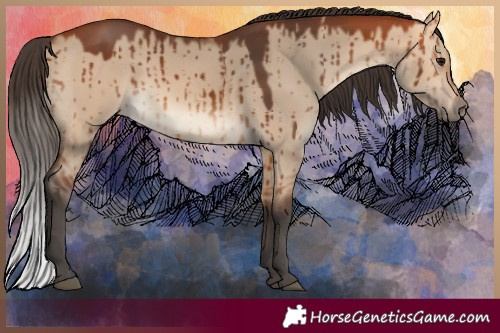 Horse Color:Bay Dun Brindle 