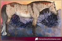 Horse Color:Bay Dun Brindle 