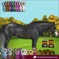 Horse Color:Brown 