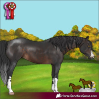 Horse Color:Brown 
