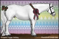 Horse Color:Gray Chestnut 