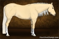 Horse Color:Palomino Dun 
