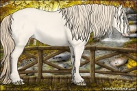 Horse Color:Perlino Dun