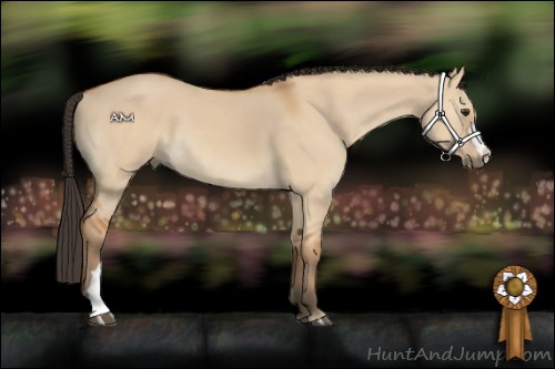 Horse Color:Bay Dun