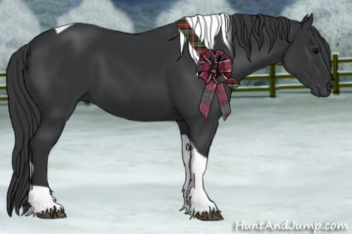 Horse Color:Black Tobiano 