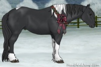 Horse Color:Black Tobiano