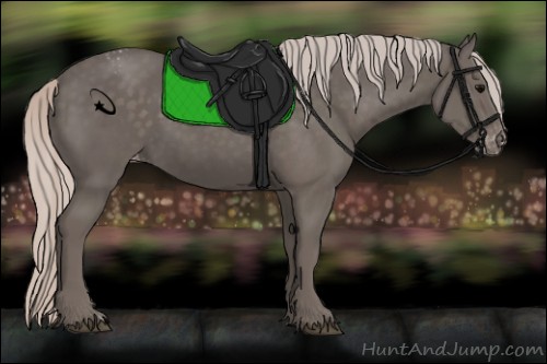 Horse Color:Silver Black Varnish