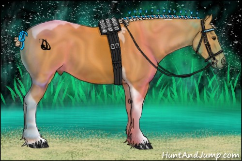 Horse Color:Palomino Tobiano 